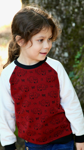 Sweat est un vêtement incontournable de la garde-robe  des enfants