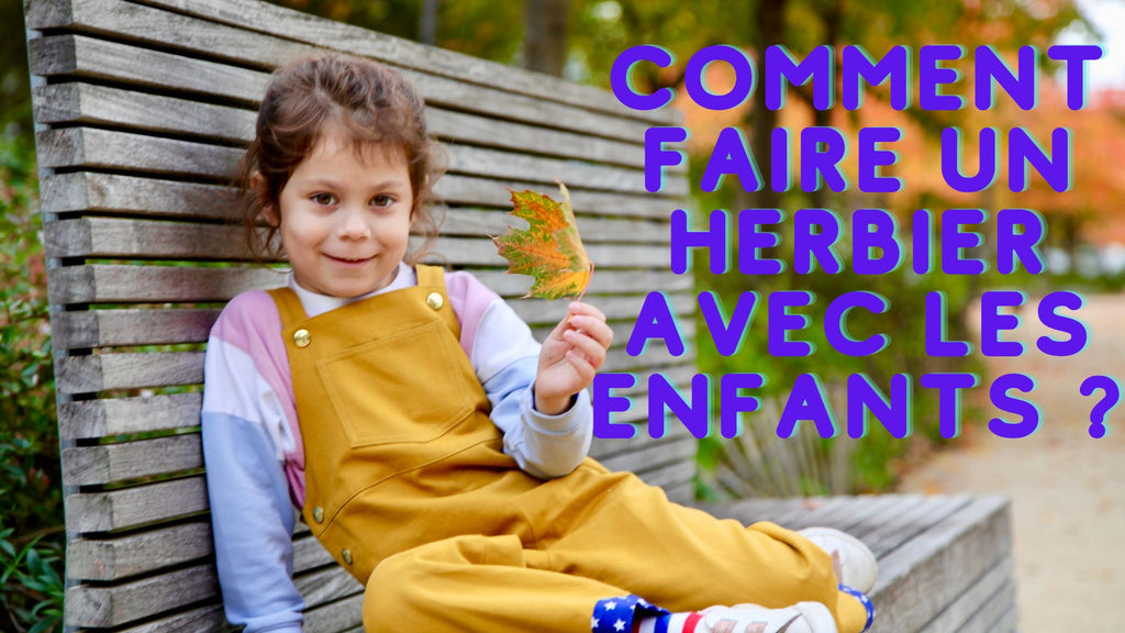 Comment faire un herbier avec les enfants ?