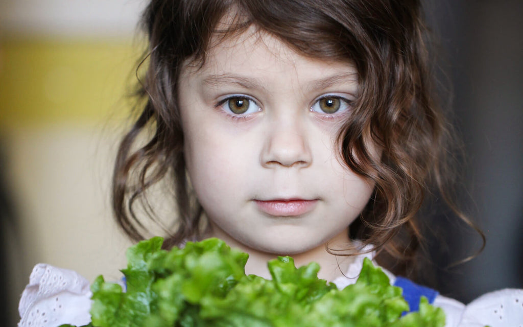 Activité avec Jojo : Sauvons les légumes !