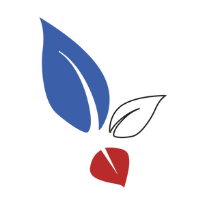 Une nouvelle aventure commence !